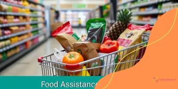 New SNAP rules take effect: what you need to know