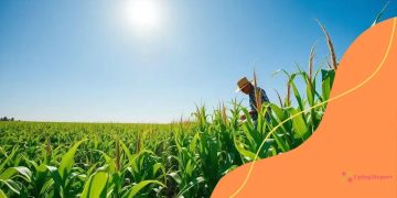 Ethanol export boost US: A game changer for farmers