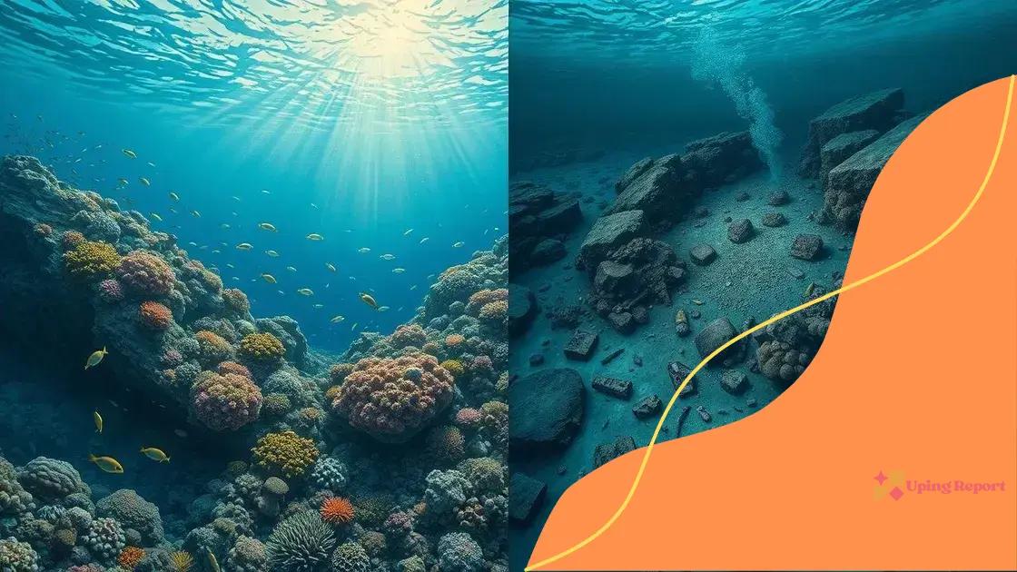 The environmental impact of deep-sea mining